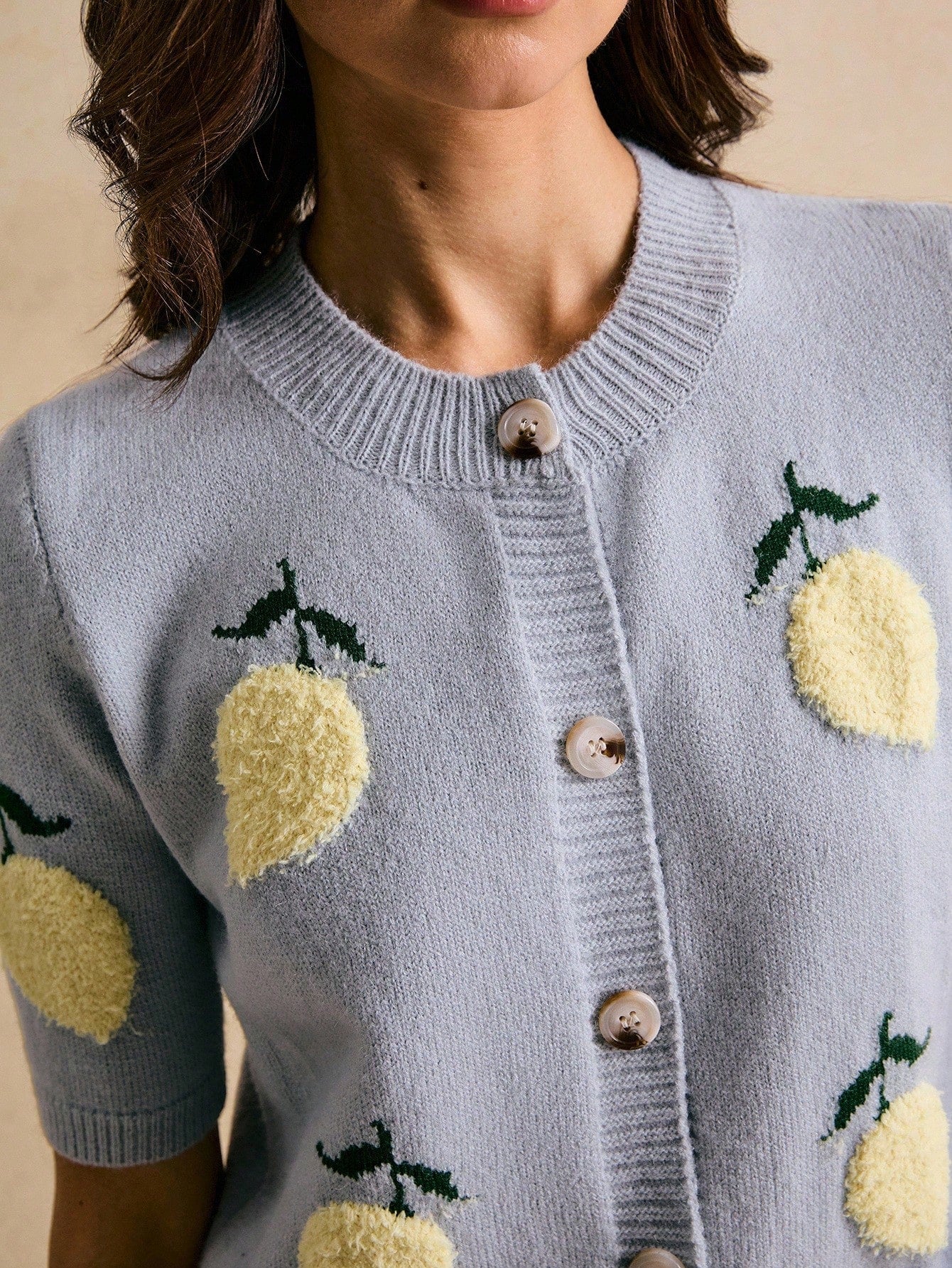 Lemons Embroidered Sweater