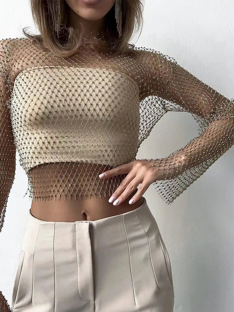 Silver Mesh Top