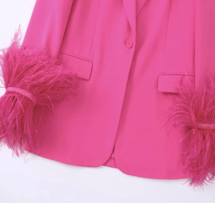 Fuchsia Blazer with Feathers