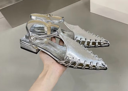 Silver Pointy Shoes