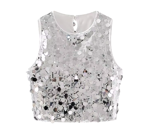 Silver Sequins Crop Top