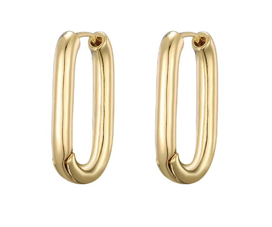 Golden Hoop Earrings